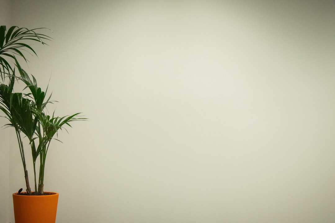 How to Use Georadius Schema for Local SEO Success